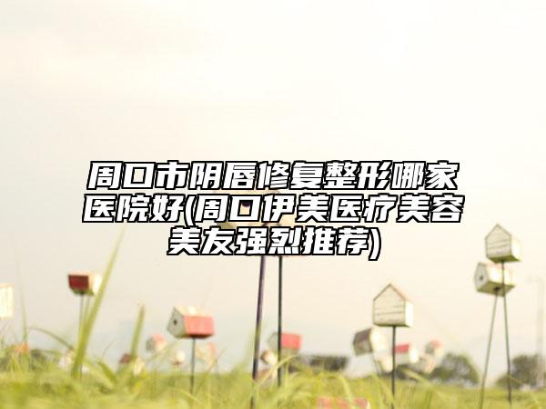 周口市阴唇修复整形哪家医院好(周口伊美医疗美容美友强烈推荐)