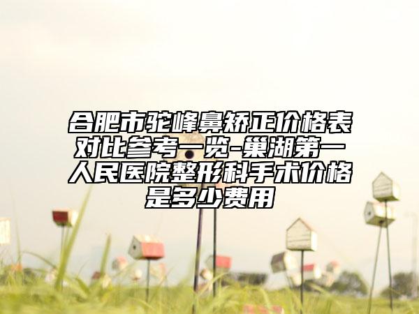 合肥市驼峰鼻矫正价格表对比参考一览-巢湖第一人民医院整形科手术价格是多少费用