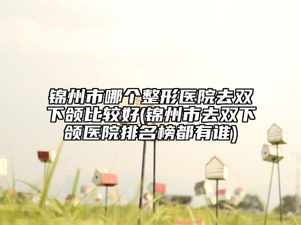 锦州市哪个整形医院去双下颌比较好(锦州市去双下颌医院排名榜都有谁)