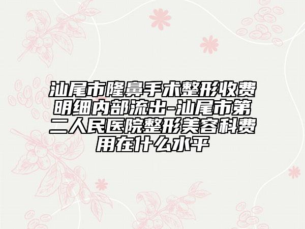 汕尾市隆鼻手术整形收费明细内部流出-汕尾市第二人民医院整形美容科费用在什么水平