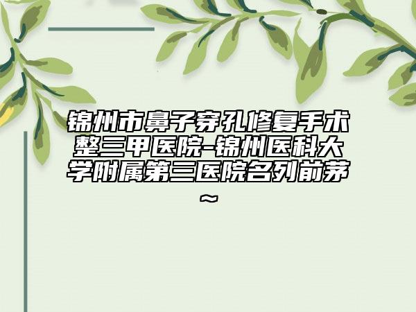 锦州市鼻子穿孔修复手术整三甲医院-锦州医科大学附属第三医院名列前茅~