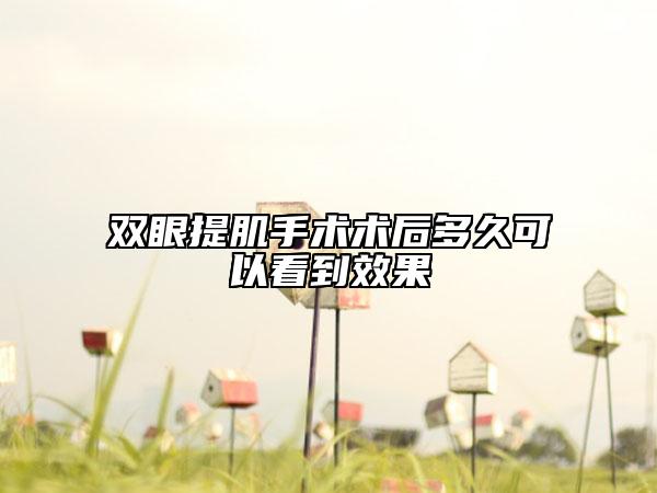 双眼提肌手术术后多久可以看到效果
