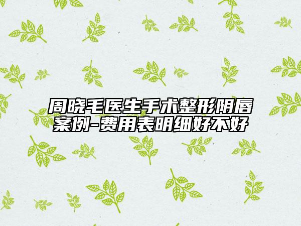 周晓毛医生手术整形阴唇案例-费用表明细好不好