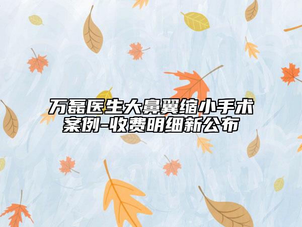 万磊医生大鼻翼缩小手术案例-收费明细新公布