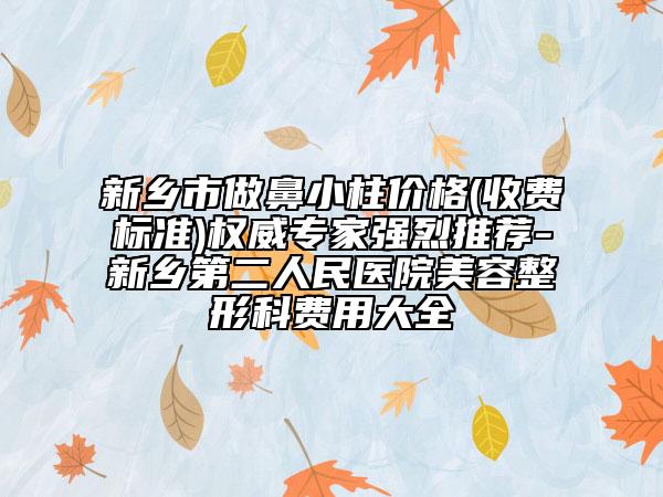 新乡市做鼻小柱价格(收费标准)权威专家强烈推荐-新乡第二人民医院美容整形科费用大全