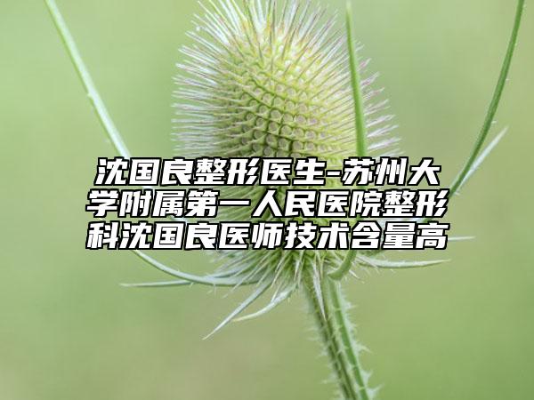 沈国良整形医生-苏州大学附属第一人民医院整形科沈国良医师技术含量高