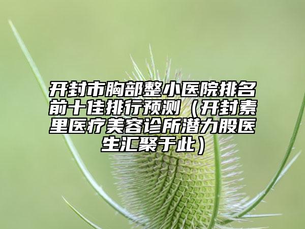 开封市胸部整小医院排名前十佳排行预测（开封素里医疗美容诊所潜力股医生汇聚于此）
