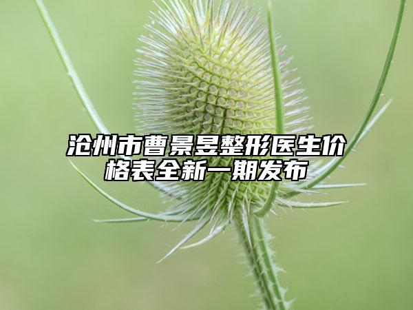 沧州市曹景昱整形医生价格表全新一期发布