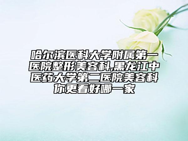 哈尔滨医科大学附属第一医院整形美容科,黑龙江中医药大学第二医院美容科你更看好哪一家