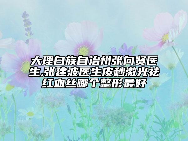 大理白族自治州张向贤医生,张建波医生皮秒激光祛红血丝哪个整形最好