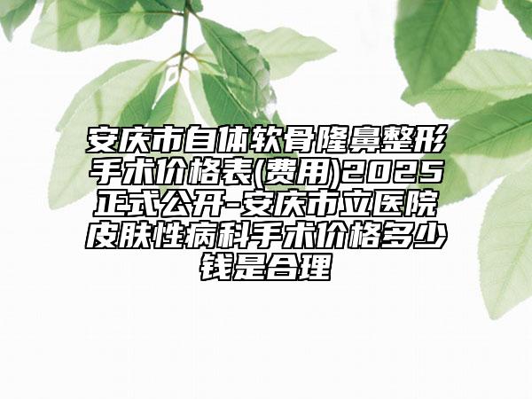 安庆市自体软骨隆鼻整形手术价格表(费用)2025正式公开-安庆市立医院皮肤性病科手术价格多少钱是合理