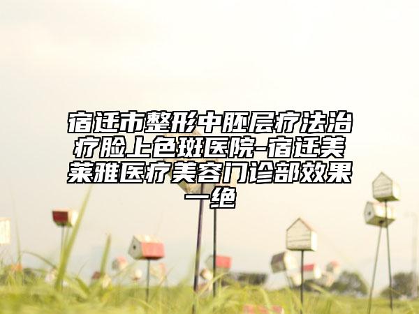 宿迁市整形中胚层疗法治疗脸上色斑医院-宿迁美莱雅医疗美容门诊部效果一绝