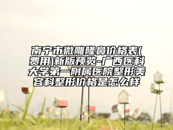 南宁市微雕隆鼻价格表(费用)新版预览-广西医科大学第一附属医院整形美容科整形价格是怎么样