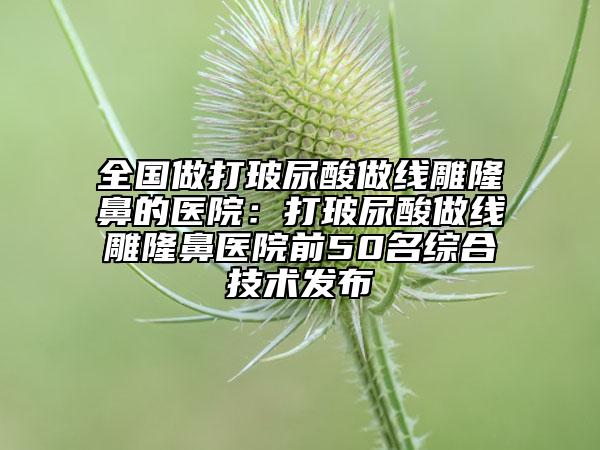 全国做打玻尿酸做线雕隆鼻的医院：打玻尿酸做线雕隆鼻医院前50名综合技术发布