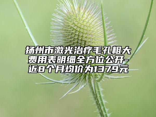 扬州市激光治疗毛孔粗大费用表明细全方位公开-近8个月均价为1379元