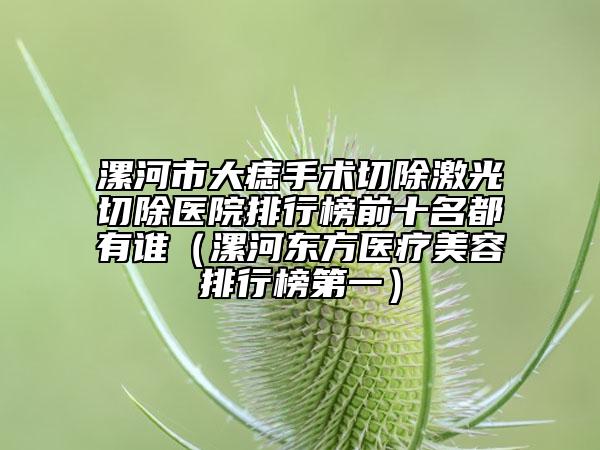 漯河市大痣手术切除激光切除医院排行榜前十名都有谁（漯河东方医疗美容排行榜第一）