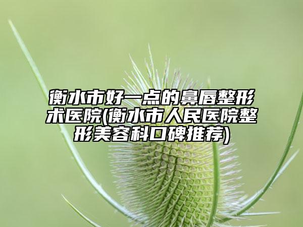 衡水市好一点的鼻唇整形术医院(衡水市人民医院整形美容科口碑推荐)