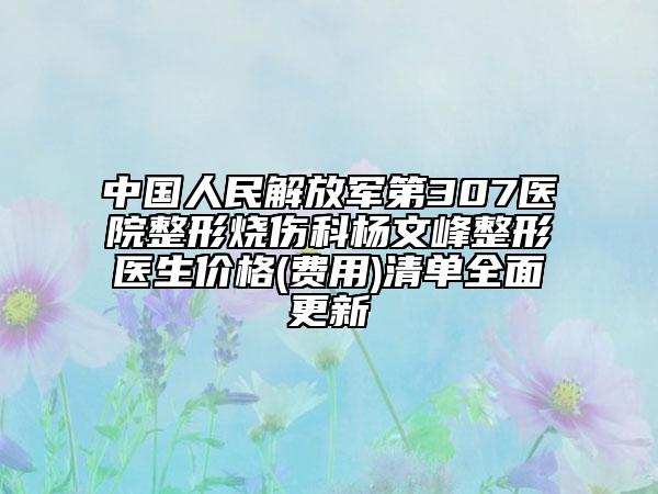 中国人民解放军第307医院整形烧伤科杨文峰整形医生价格(费用)清单全面更新