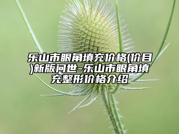 乐山市眼角填充价格(价目)新版问世-乐山市眼角填充整形价格介绍