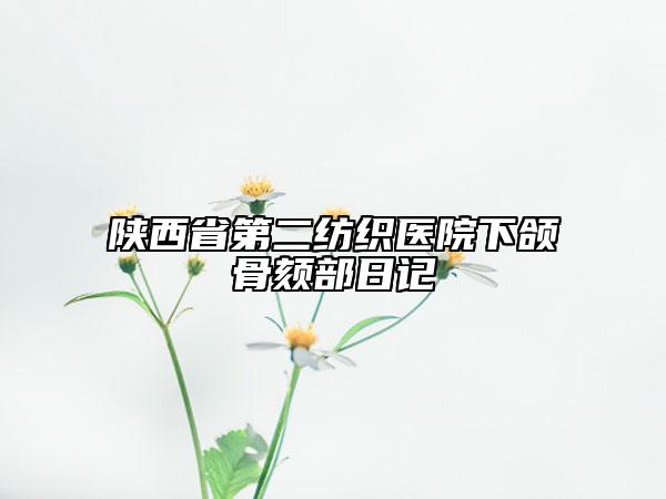 陕西省第二纺织医院下颌骨颏部日记