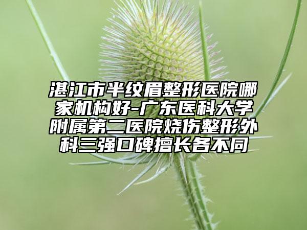 湛江市半纹眉整形医院哪家机构好-广东医科大学附属第二医院烧伤整形外科三强口碑擅长各不同