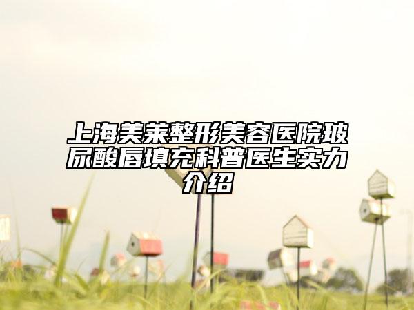 上海美莱整形美容医院玻尿酸唇填充科普医生实力介绍