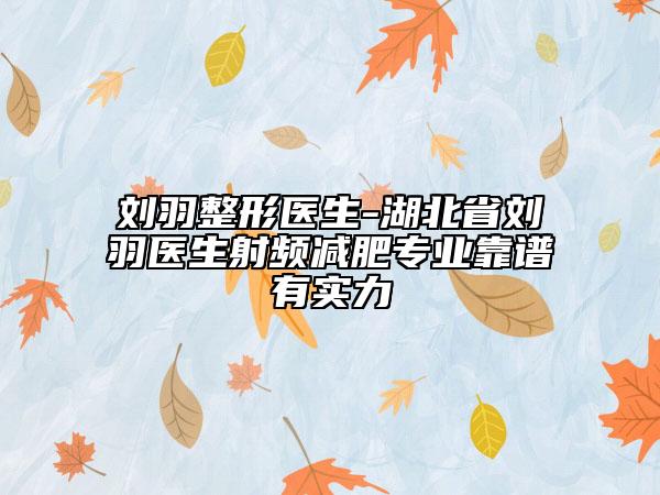 刘羽整形医生-湖北省刘羽医生射频减肥专业靠谱有实力