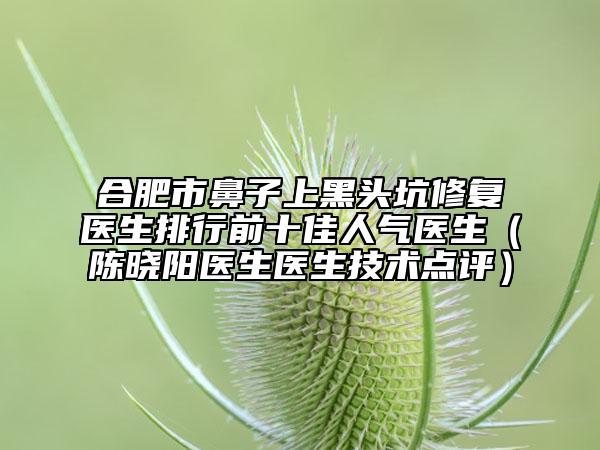 合肥市鼻子上黑头坑修复医生排行前十佳人气医生（陈晓阳医生医生技术点评）