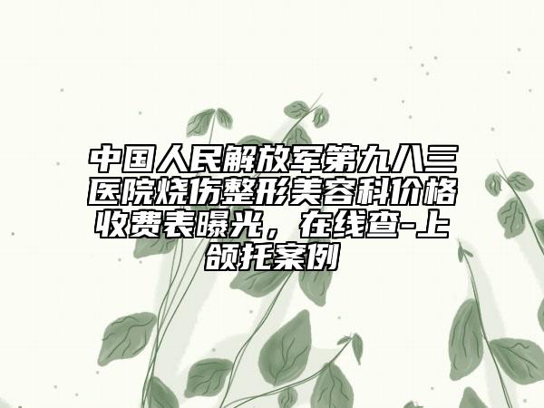 中国人民解放军第九八三医院烧伤整形美容科价格收费表曝光，在线查-上颌托案例