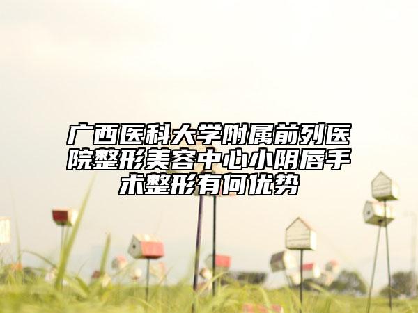 广西医科大学附属前列医院整形美容中心小阴唇手术整形有何优势