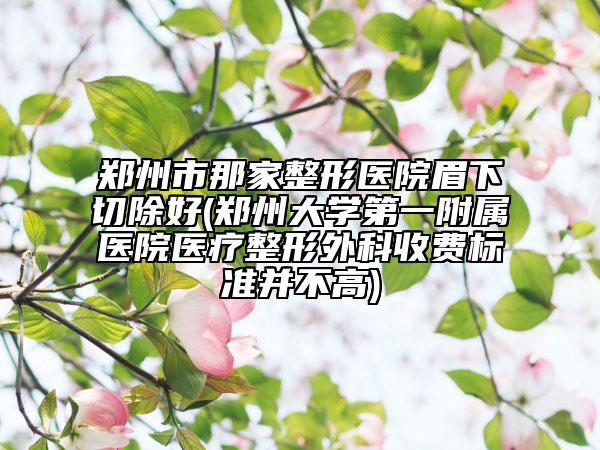 郑州市那家整形医院眉下切除好(郑州大学第一附属医院医疗整形外科收费标准并不高)