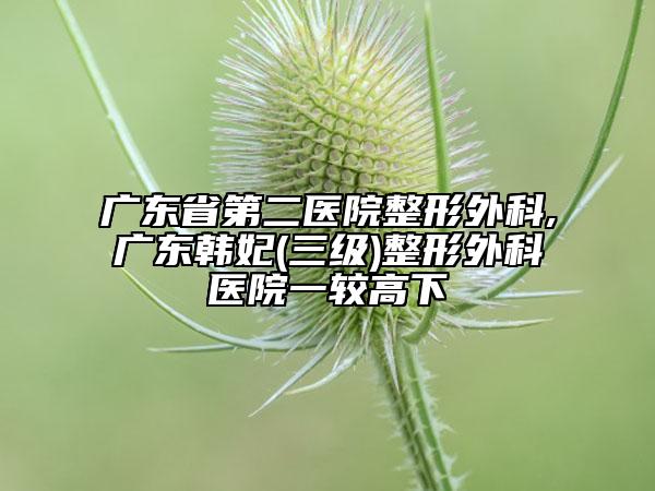 广东省第二医院整形外科,广东韩妃(三级)整形外科医院一较高下