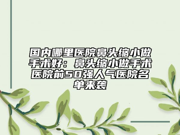 国内哪里医院鼻头缩小做手术好：鼻头缩小做手术医院前50强人气医院名单来袭