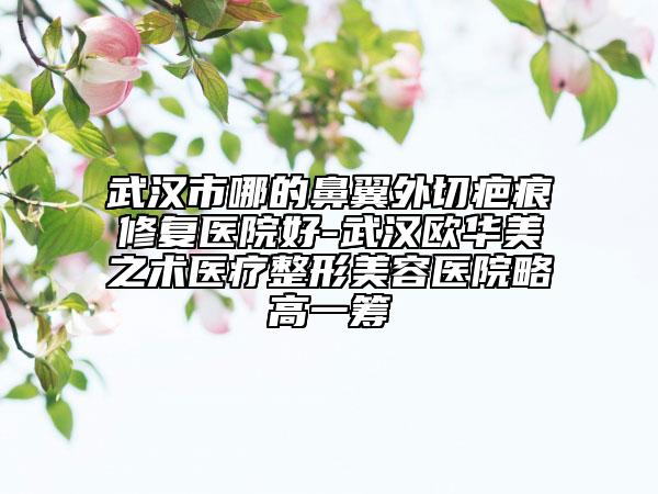 武汉市哪的鼻翼外切疤痕修复医院好-武汉欧华美之术医疗整形美容医院略高一筹