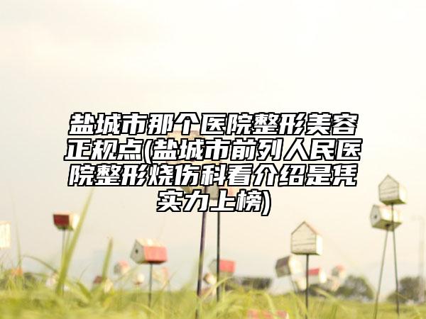 盐城市那个医院整形美容正规点(盐城市前列人民医院整形烧伤科看介绍是凭实力上榜)