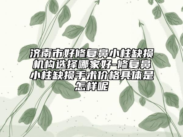 济南市好修复鼻小柱缺损机构选择哪家好-修复鼻小柱缺损手术价格具体是怎样呢