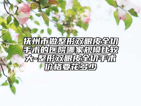 抚州市做整形双眼皮全切手术的医院哪家规模比较大-整形双眼皮全切手术价格要花多少