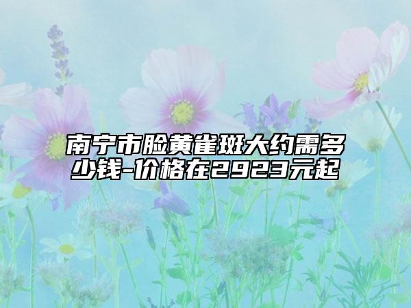南宁市脸黄雀斑大约需多少钱-价格在2923元起