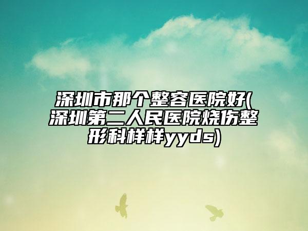 深圳市那个整容医院好(深圳第二人民医院烧伤整形科样样yyds)