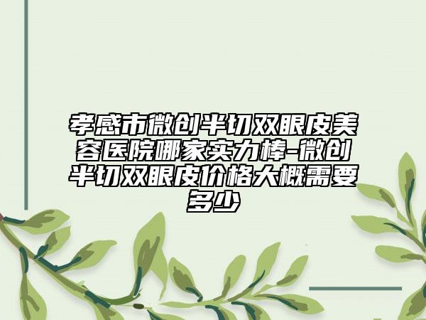 孝感市微创半切双眼皮美容医院哪家实力棒-微创半切双眼皮价格大概需要多少