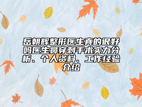 岳朝辉整形医生真的很好吗医生鼻穿刺手术实力分析、个人资料、工作经验介绍