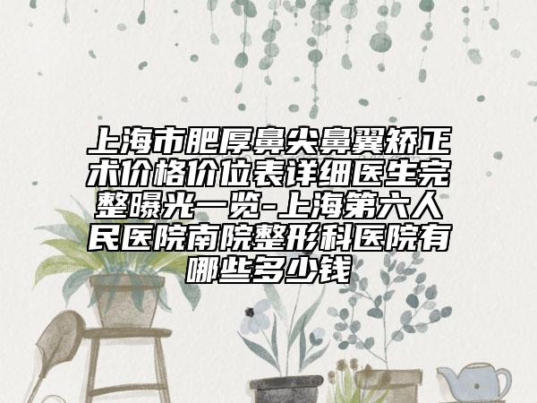 上海市肥厚鼻尖鼻翼矫正术价格价位表详细医生完整曝光一览-上海第六人民医院南院整形科医院有哪些多少钱