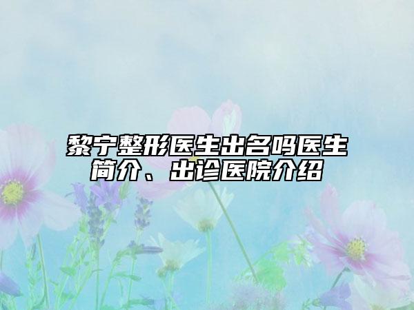 黎宁整形医生出名吗医生简介、出诊医院介绍