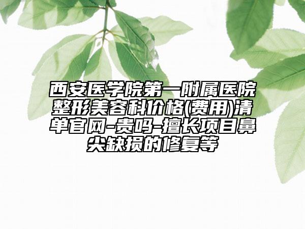 西安医学院第一附属医院整形美容科价格(费用)清单官网-贵吗-擅长项目鼻尖缺损的修复等