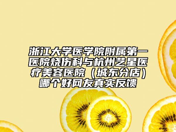 浙江大学医学院附属第一医院烧伤科与杭州艺星医疗美容医院（城东分店）哪个好网友真实反馈