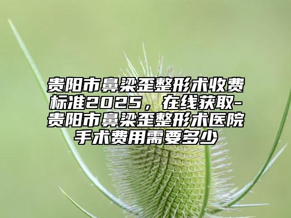 贵阳市鼻梁歪整形术收费标准2025，在线获取-贵阳市鼻梁歪整形术医院手术费用需要多少