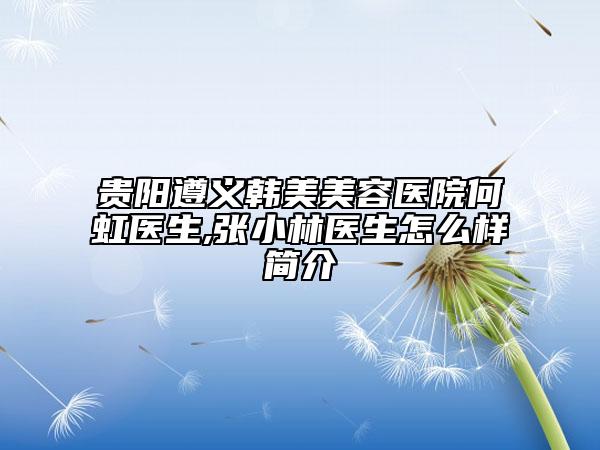 贵阳遵义韩美美容医院何虹医生,张小林医生怎么样简介