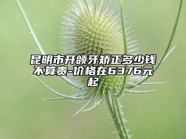 昆明市开颌牙矫正多少钱不算贵-价格在6376元起