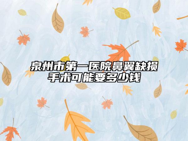泉州市第一医院鼻翼缺损手术可能要多少钱
