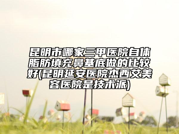 昆明市哪家三甲医院自体脂肪填充鼻基底做的比较好(昆明延安医院杰西艾美容医院是技术派)